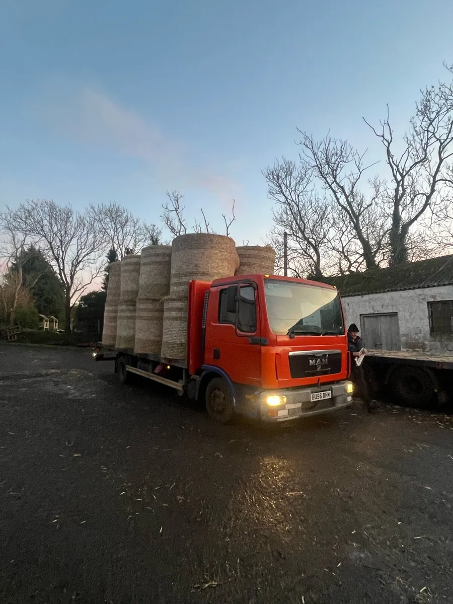 Hay for sale - Image 1