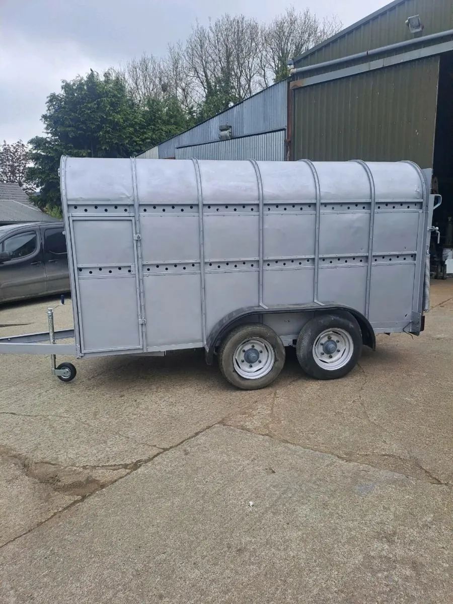Cattle trailer - Image 1