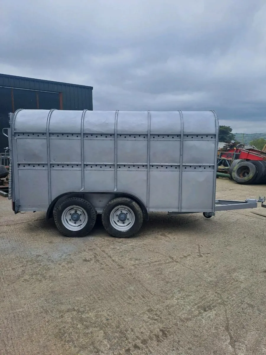 Cattle trailer - Image 3