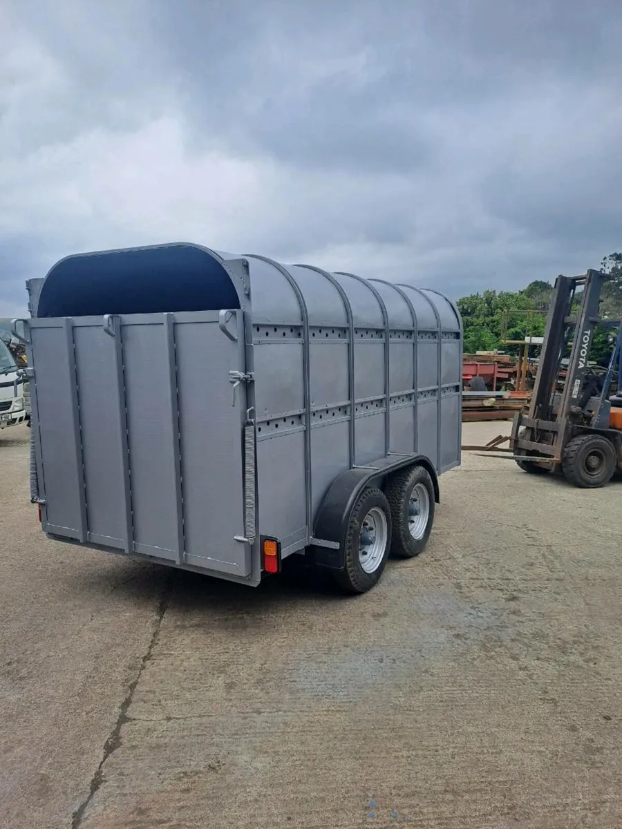 Cattle trailer - Image 4