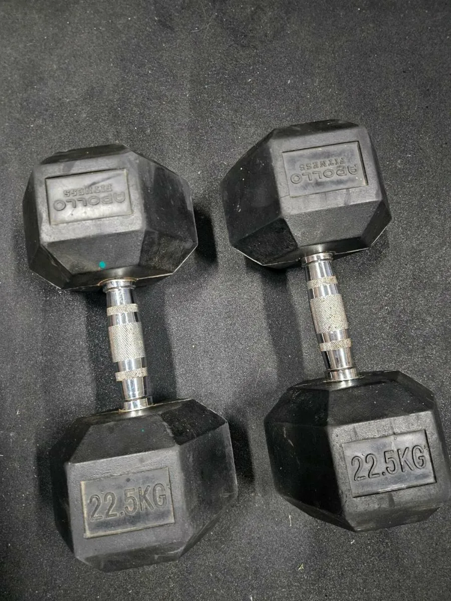 22.5kg apollo dumbells