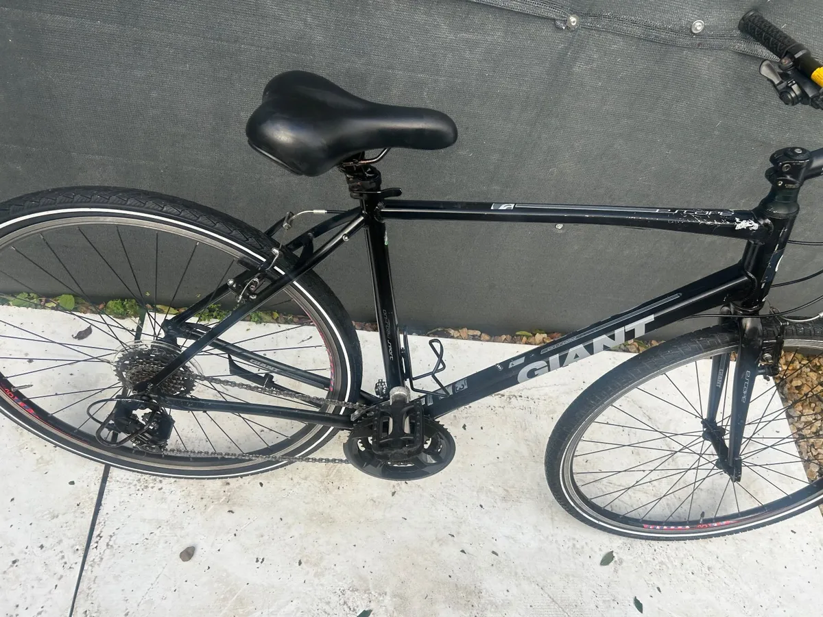 Giant Escape ❗️Open 7 days of the week ❗️ - Image 2