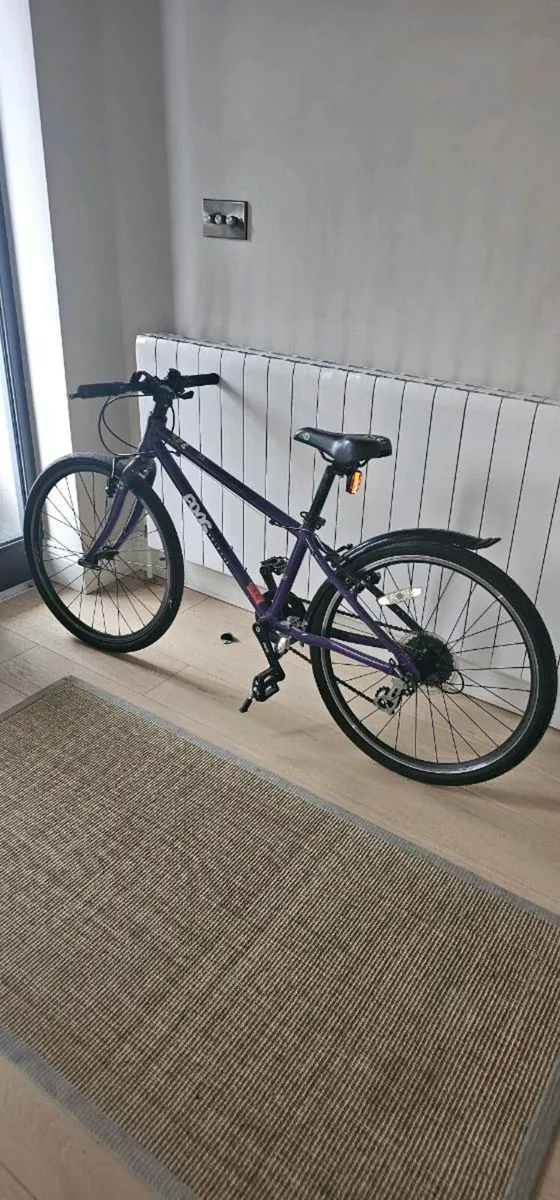 24 inch Frog bike - Image 1