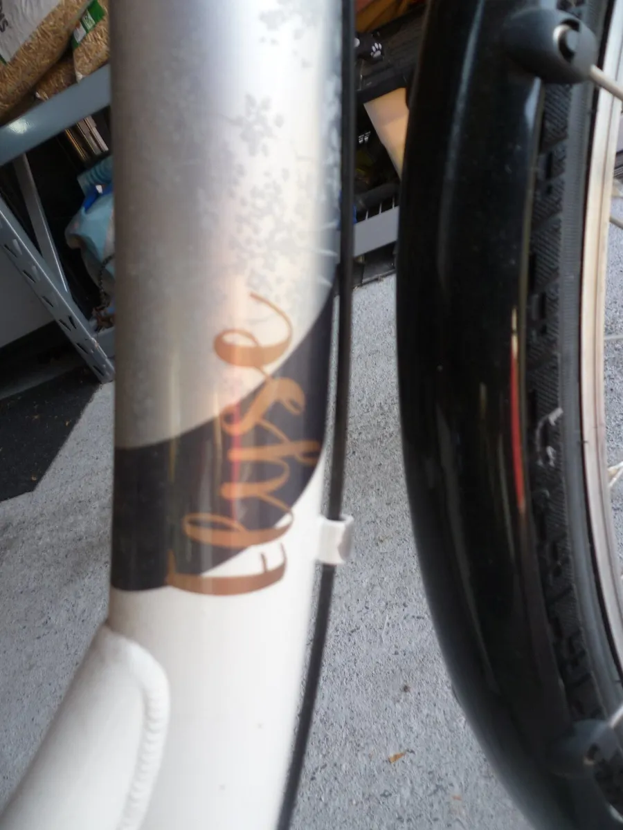 Ladies Bicycle - Image 3