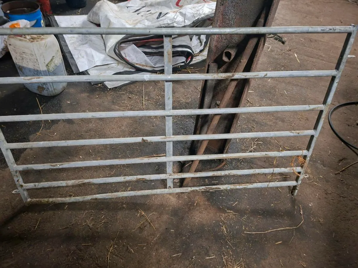 Sheep feeders - Image 2