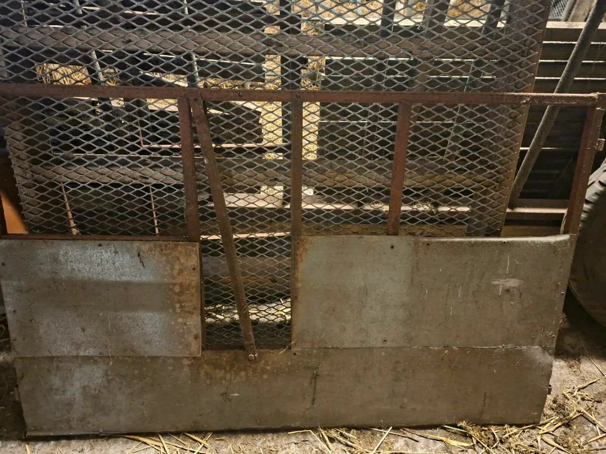 Sheep feeders - Image 1