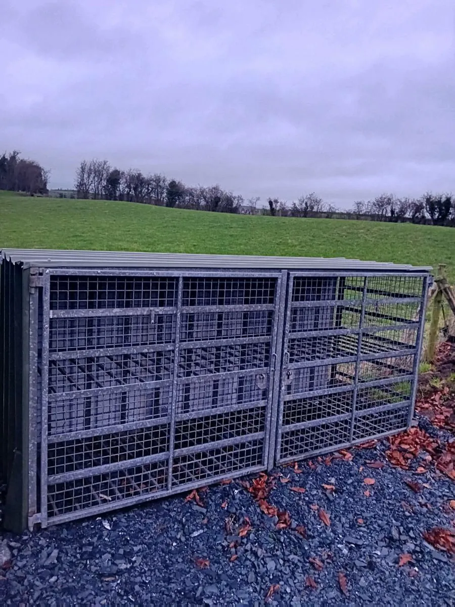 Gas Cages and Fuel Bunker - Image 4