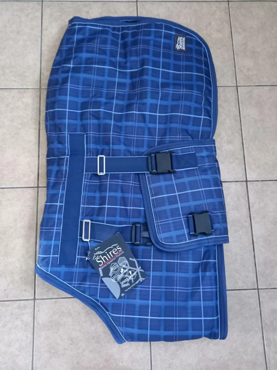 Pony outside Rugs - Image 1