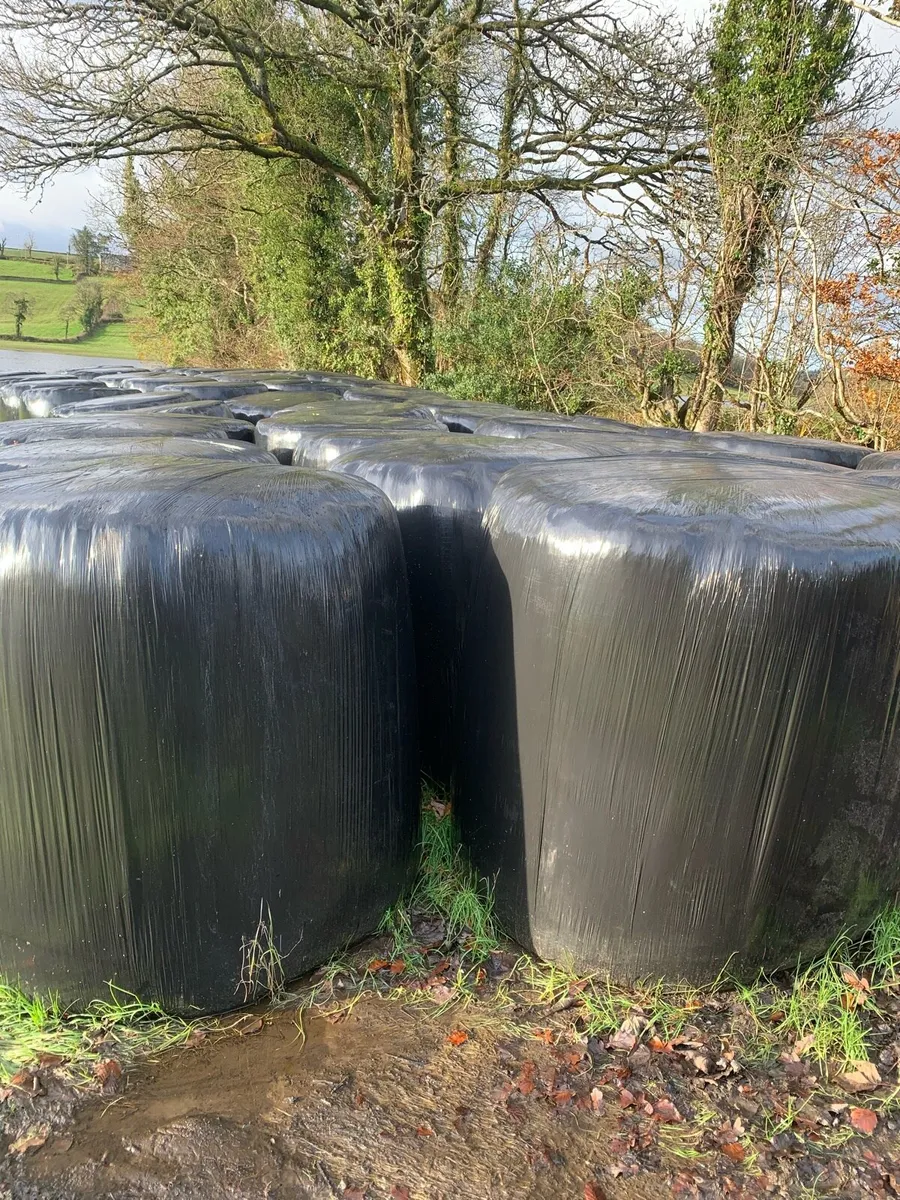 Round bales