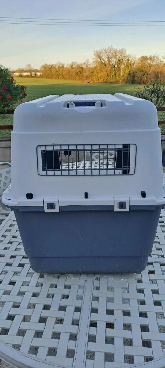 dog box - Image 3