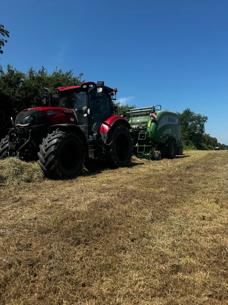 Haylage - Image 3