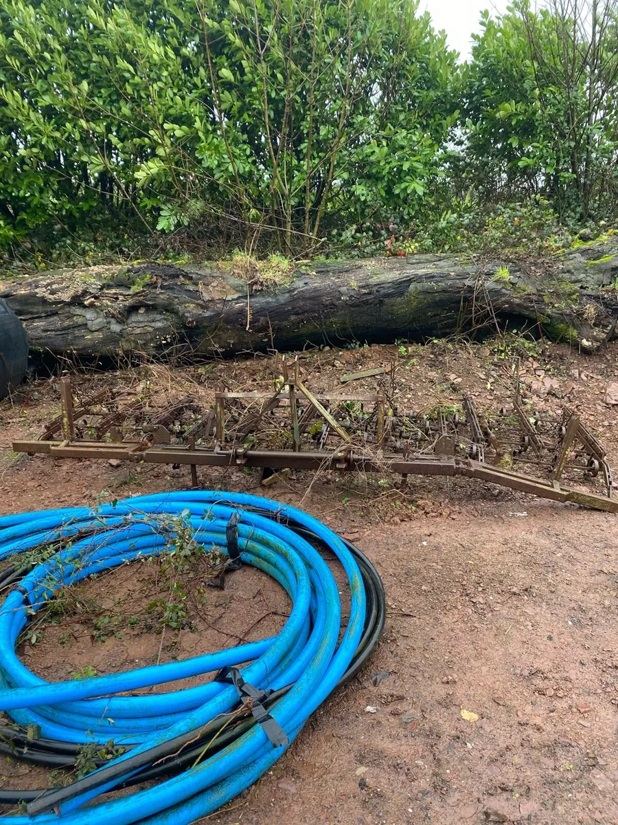 Milk, water, fuel, molasses tank - Image 3