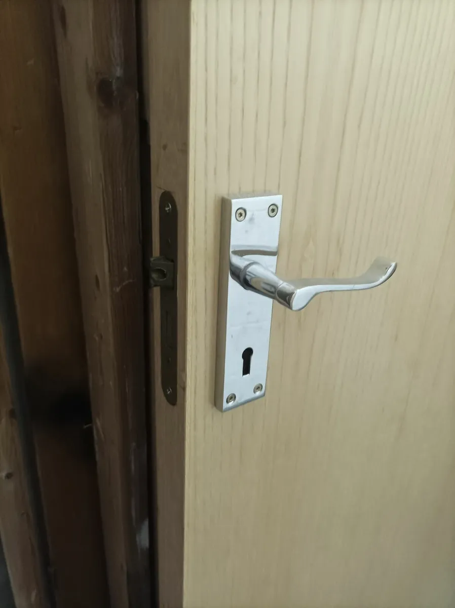 Ash Doors & Frame, fitted: Lock, Handle & Hinges - Image 4