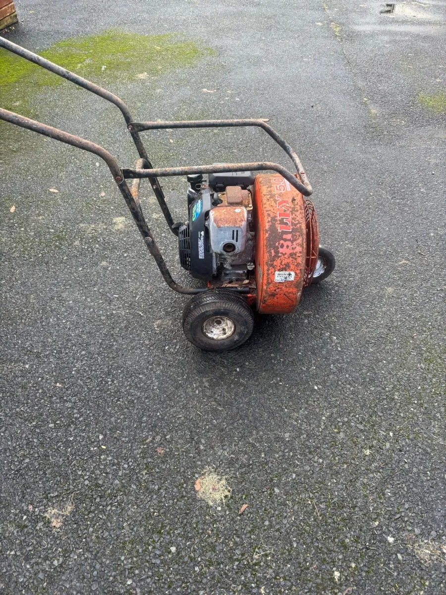 Walk behind leaf blower - Image 1