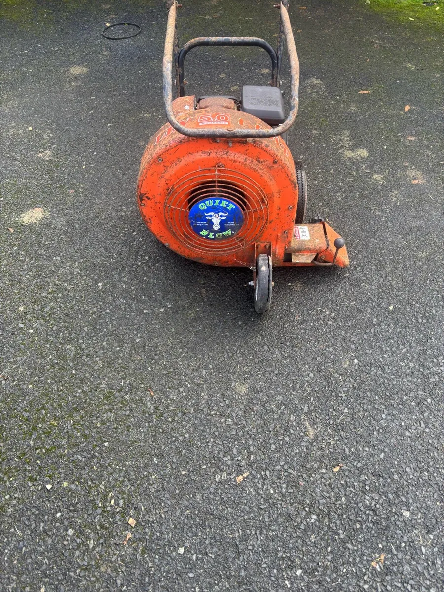Walk behind leaf blower - Image 2