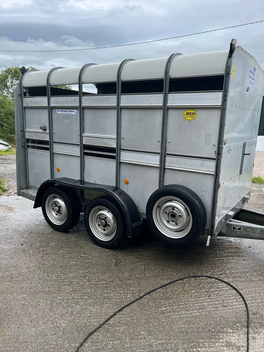 Ifor Williams trailer - Image 1