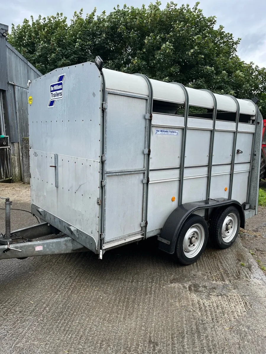 Ifor Williams trailer - Image 3