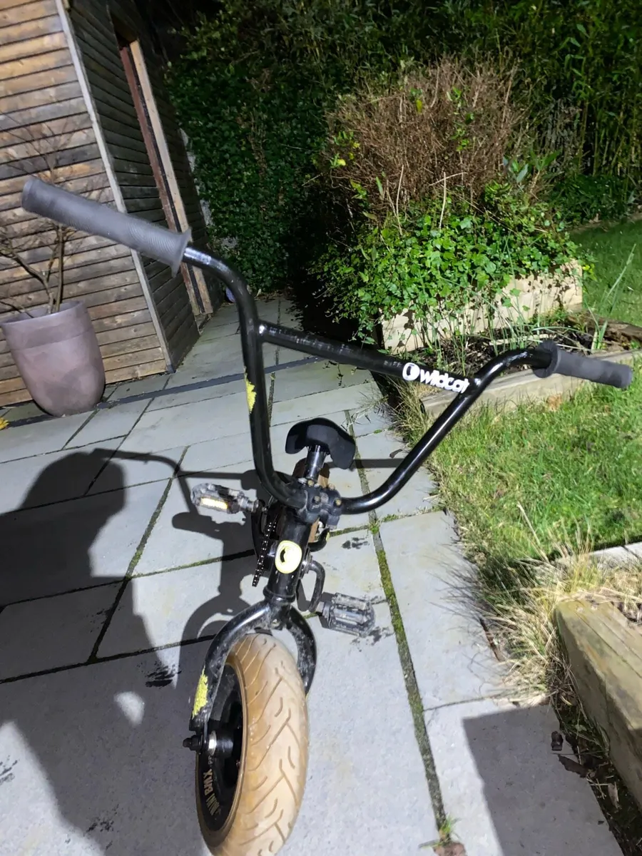 Wildcat Mini BMX - Image 2