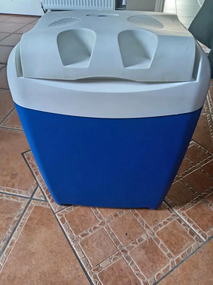 Large cooler box has 230v and 12v connection leads - Image 1