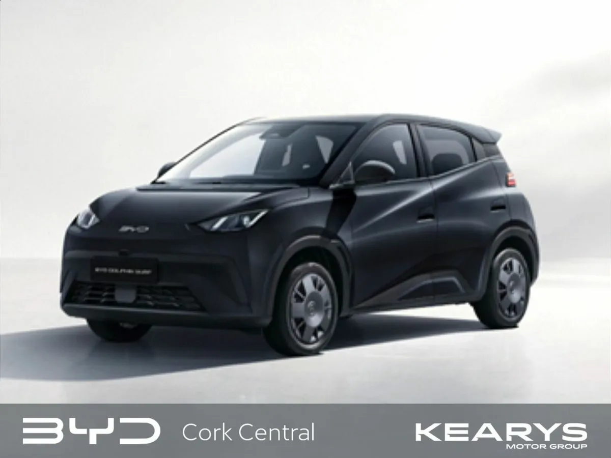 BYD DOLPHIN SURF Active Order Your 261 Today!