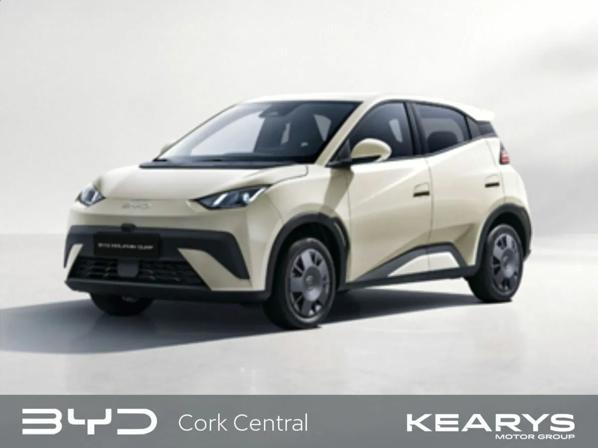 BYD DOLPHIN SURF Active Order Your 261 Today!