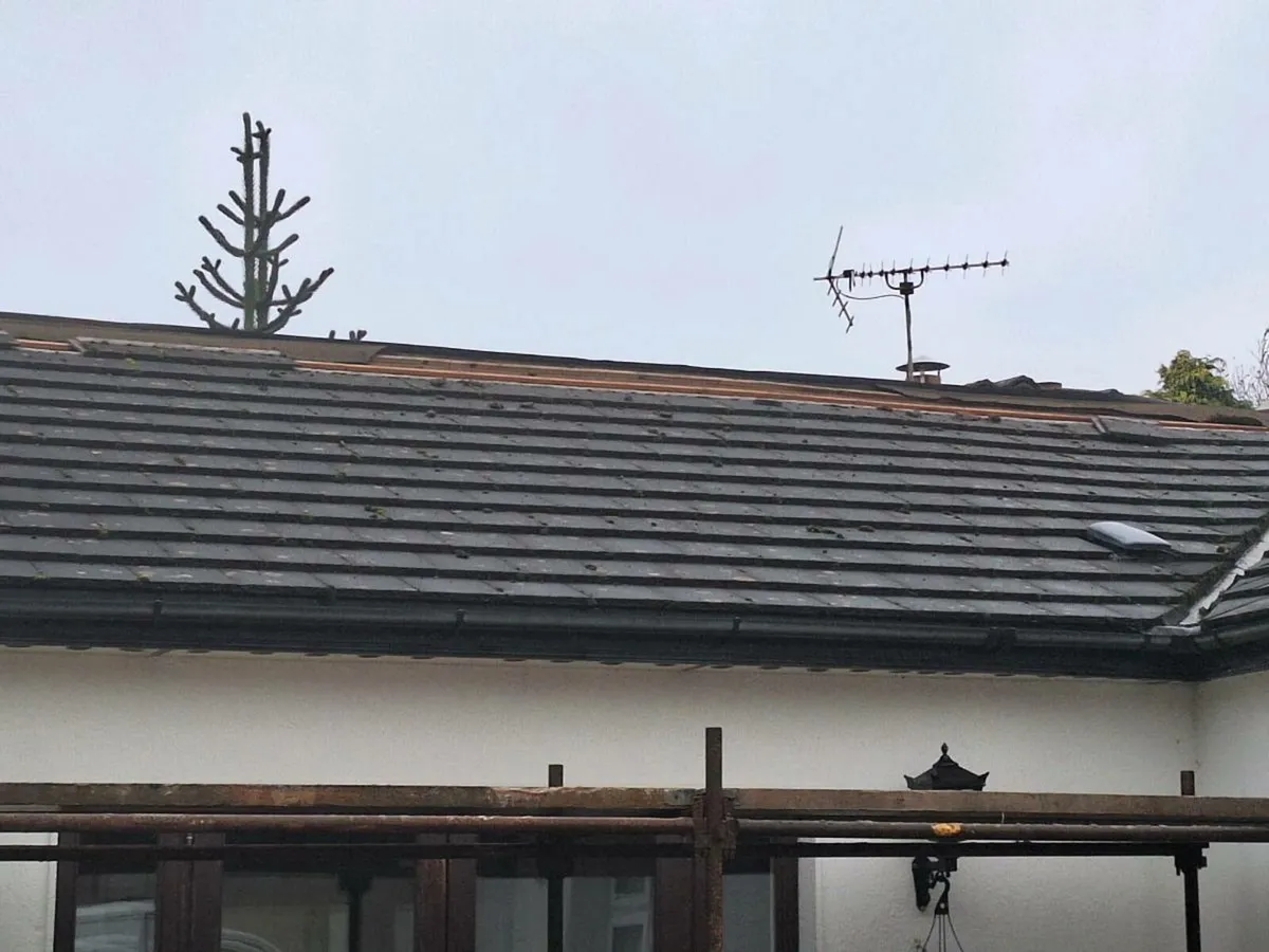 Roof tiles . - Image 1