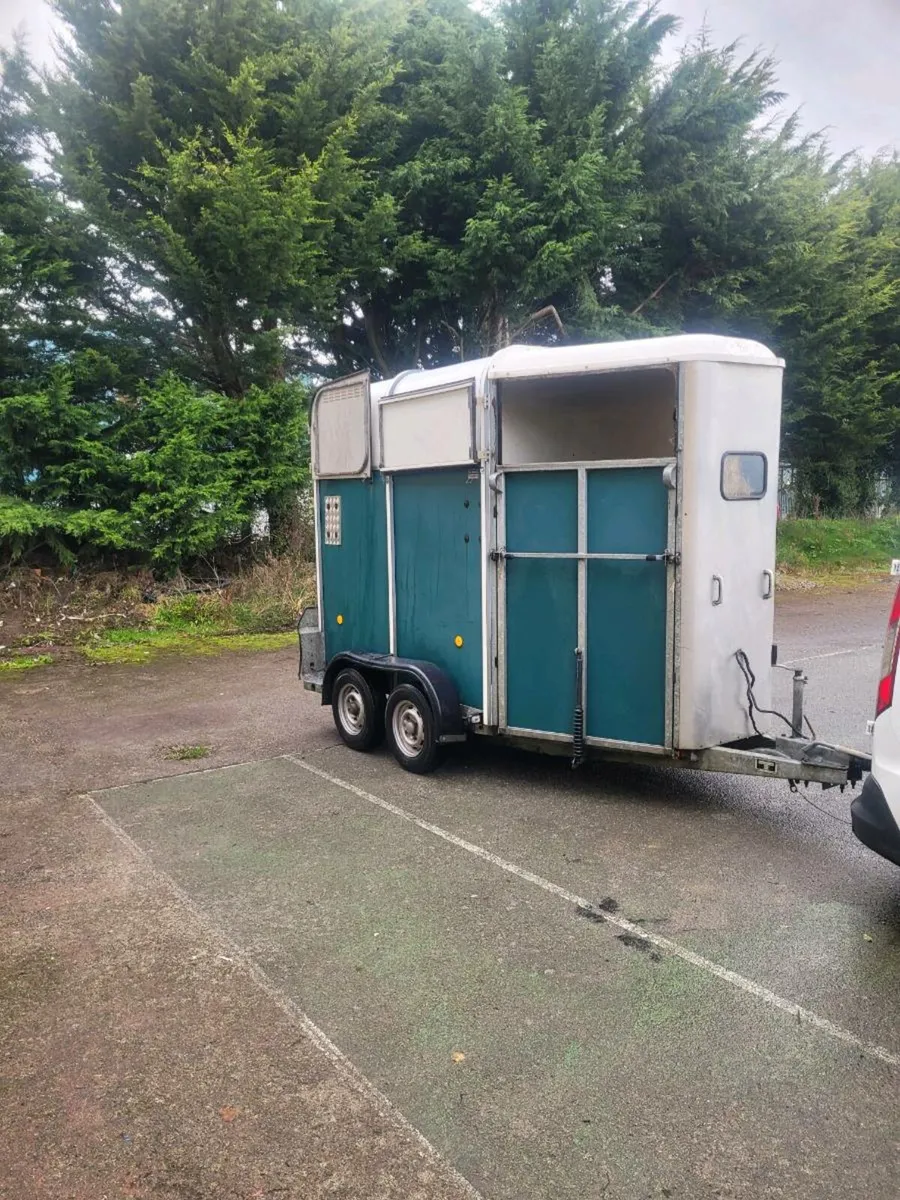 505 Ifor Williams Horsebox - Image 3