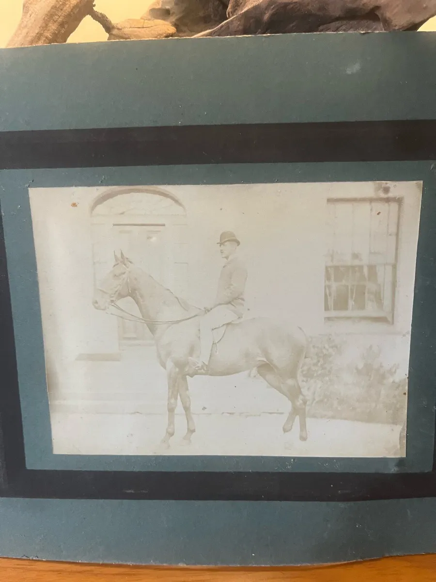 Antique Equine Photo Meath Interest - Image 2