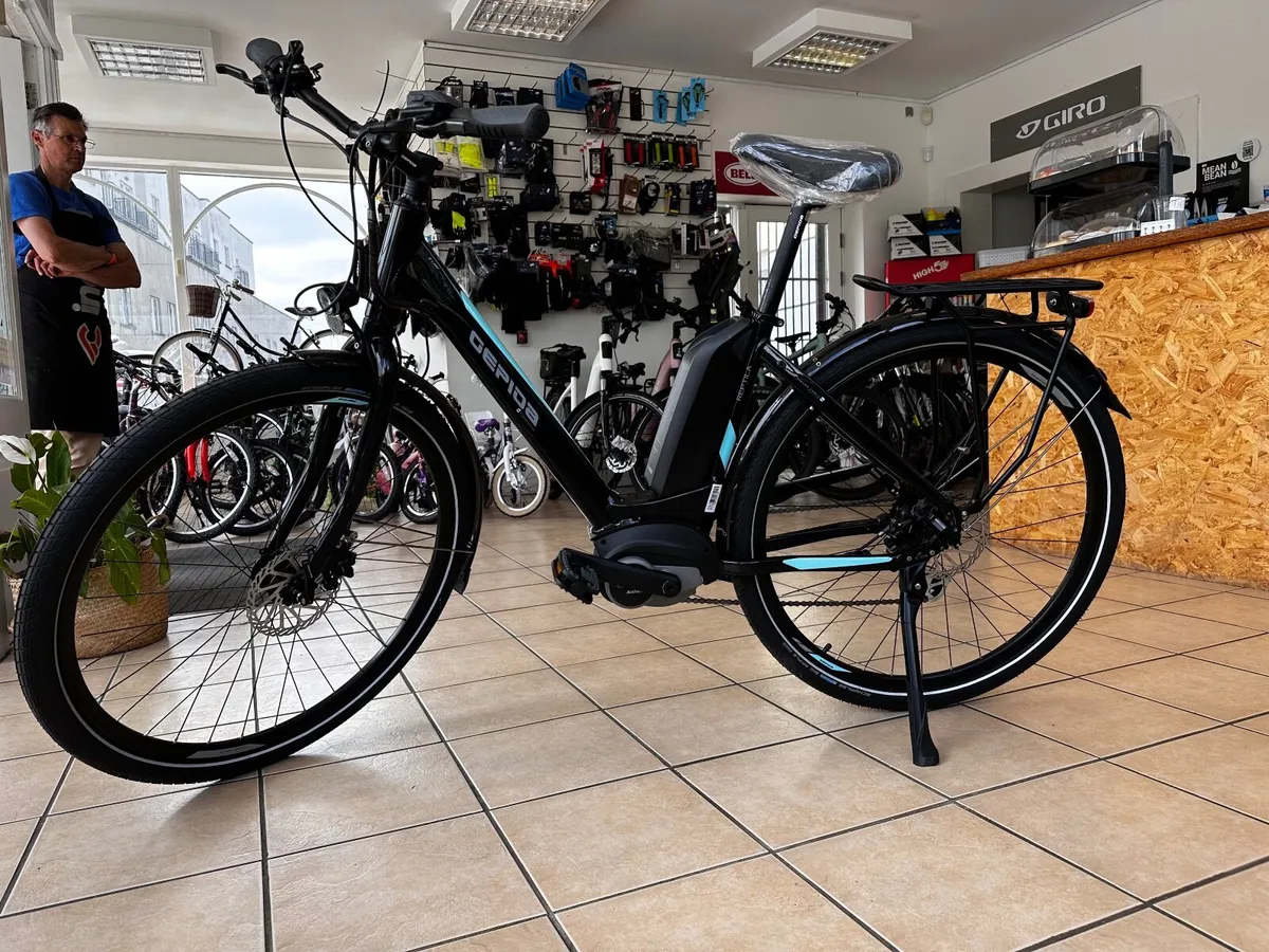 Electric Bikes at massive reductions - Image 3