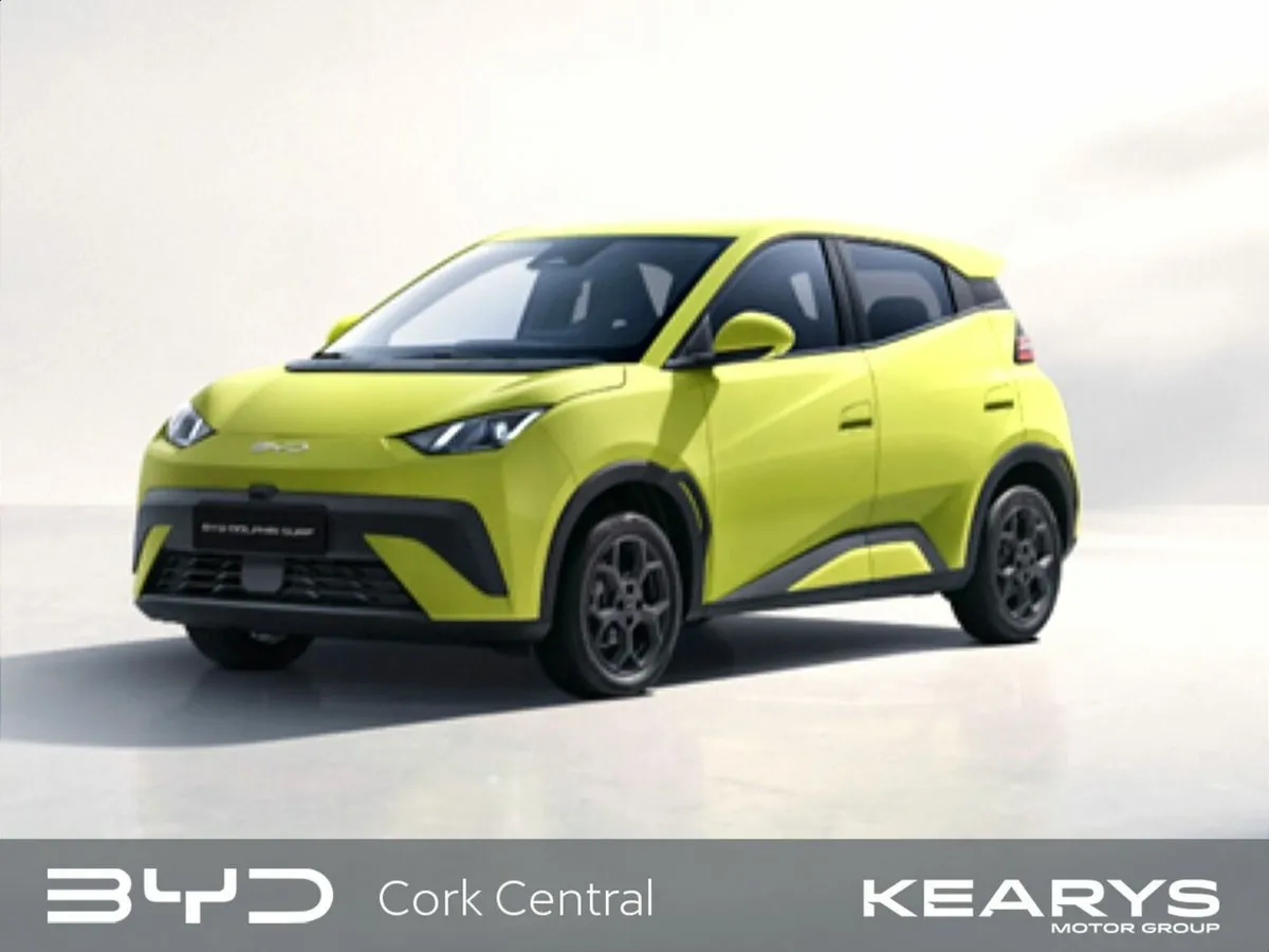 BYD DOLPHIN SURF Comfort Order Your 261 Today!