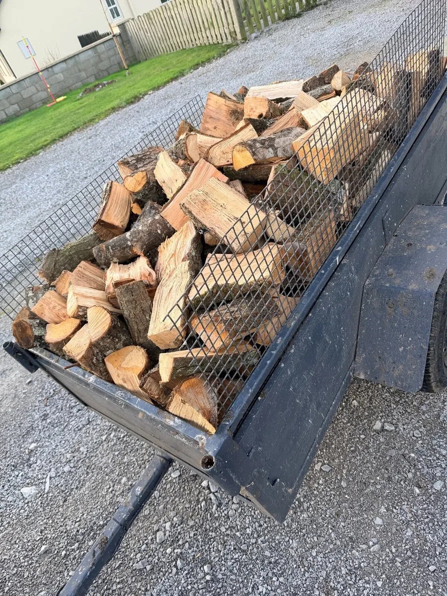 Firewood