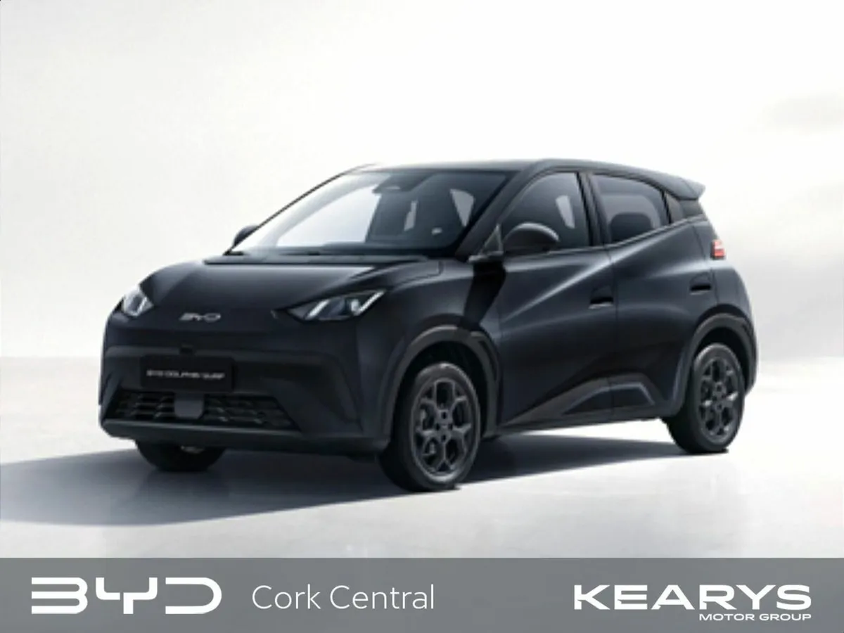 BYD DOLPHIN SURF Boost Order Your 261 Today!