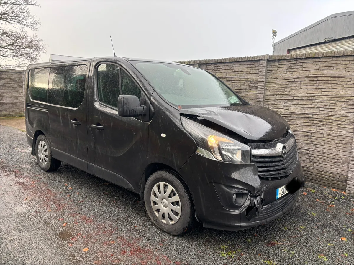 Opel Vivaro 9 seater - Image 1