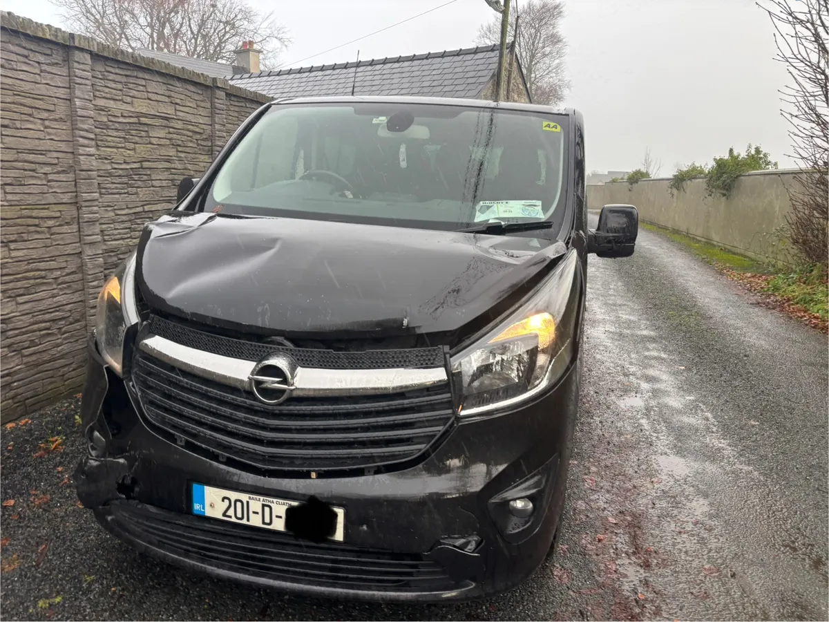 Opel Vivaro 9 seater - Image 3