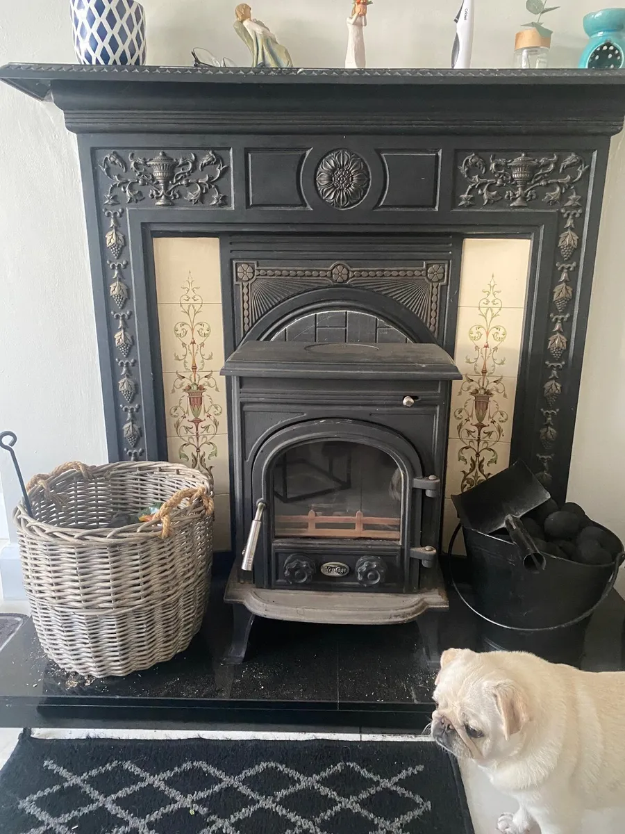 Cast iron fireplace - Image 4