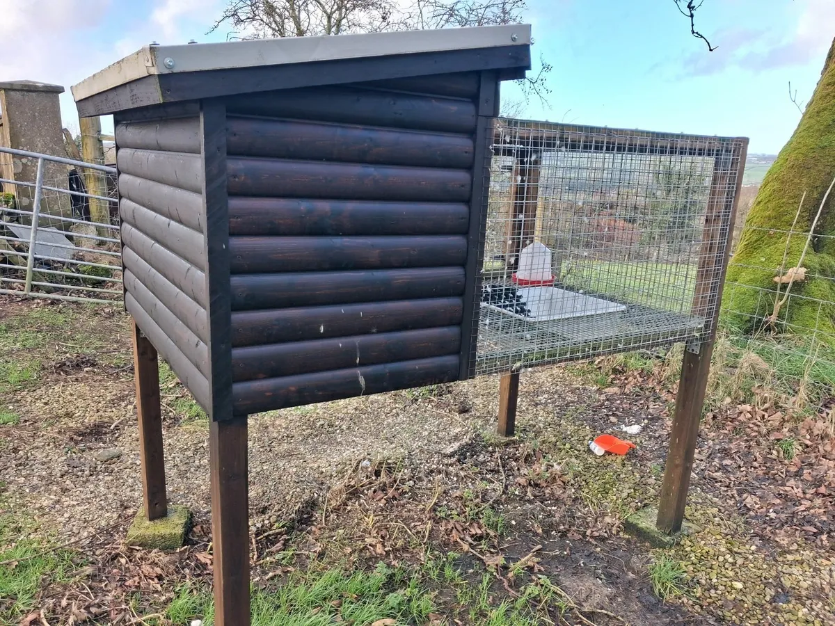 As new duck breeding pen - Image 1