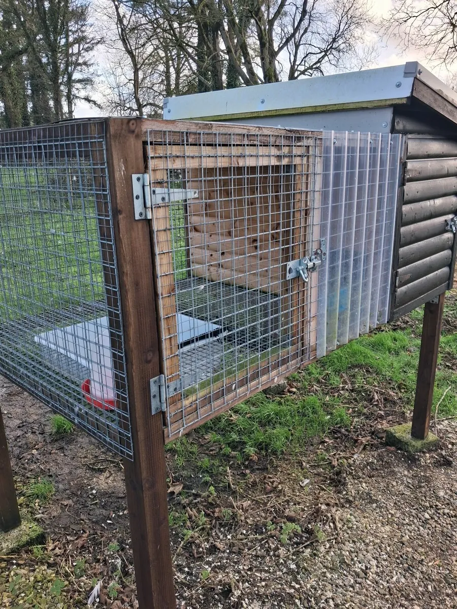 As new duck breeding pen - Image 4