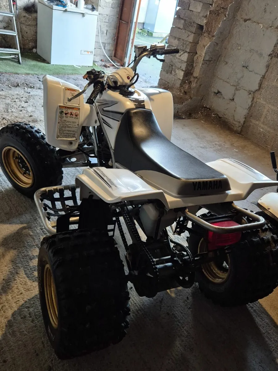 Mint special Edition Blaster ! - Image 3