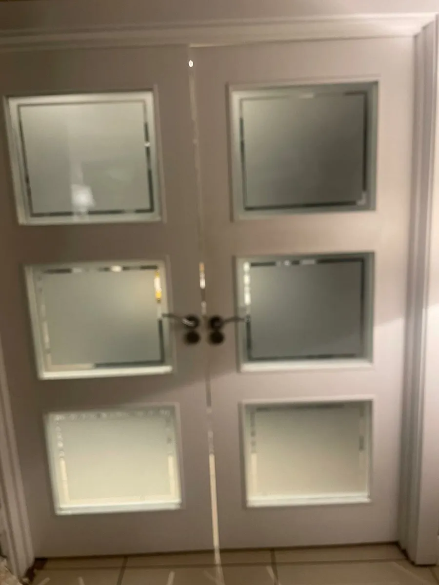 5 internal doors   3 glass panels €70 each