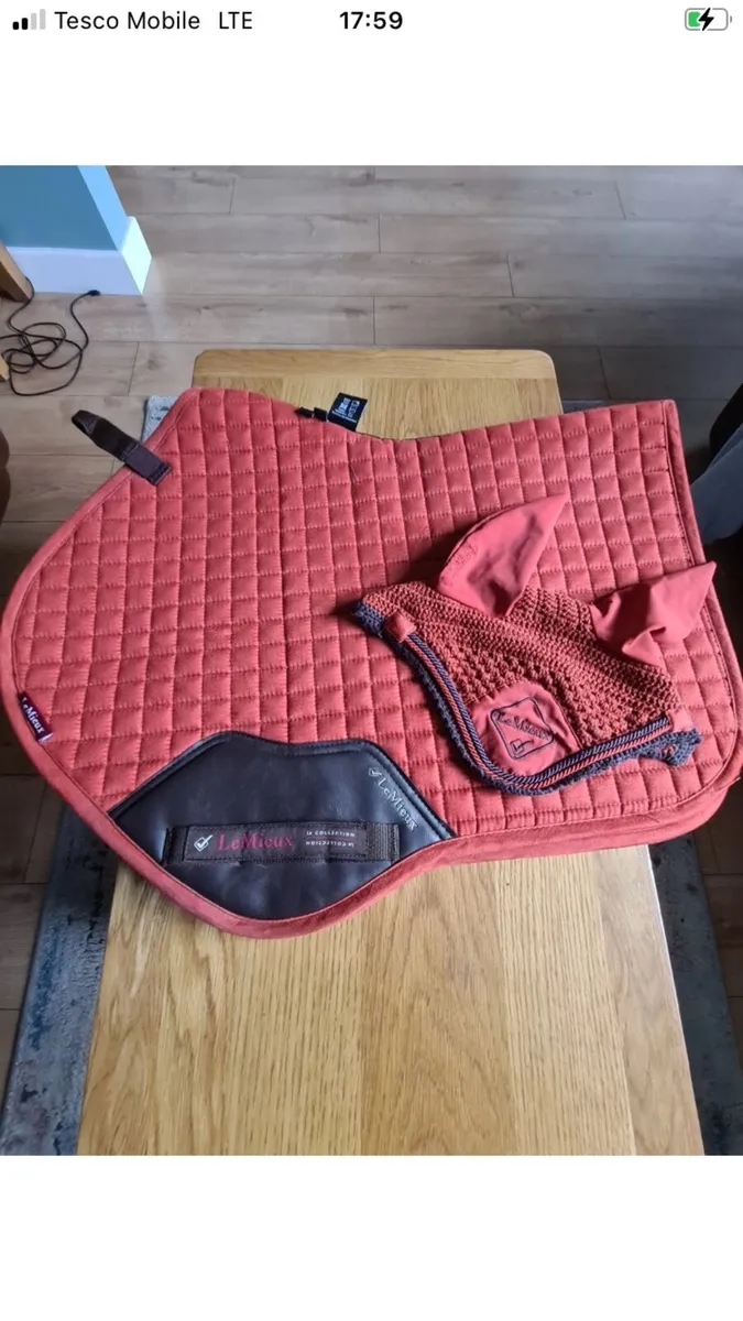 Lemieux sets - Image 1