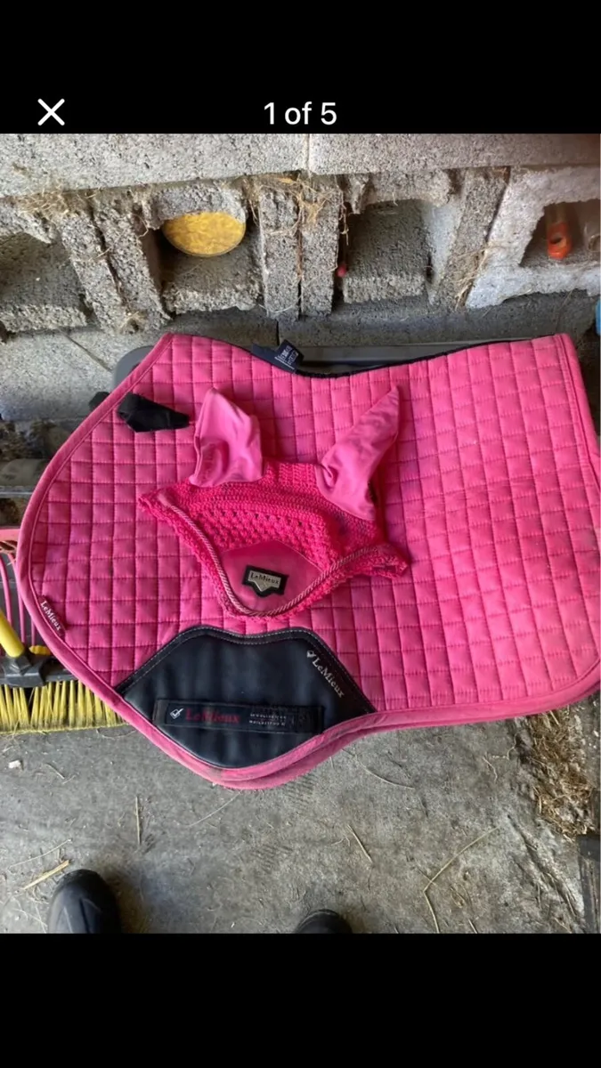 Lemieux sets - Image 2