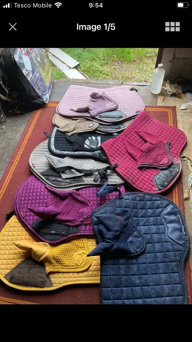 Lemieux sets - Image 1