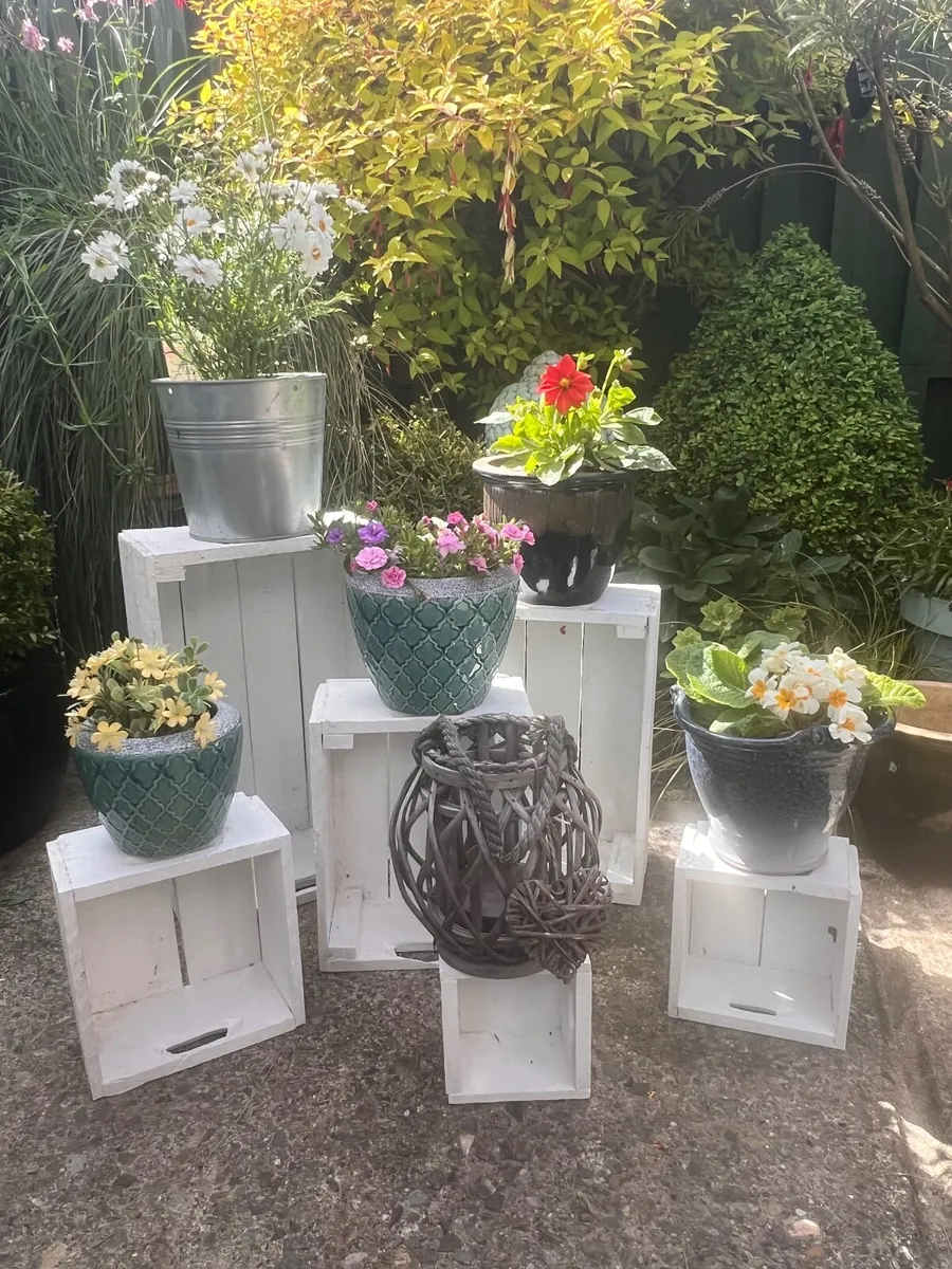 Flower shop props and tools - Image 3