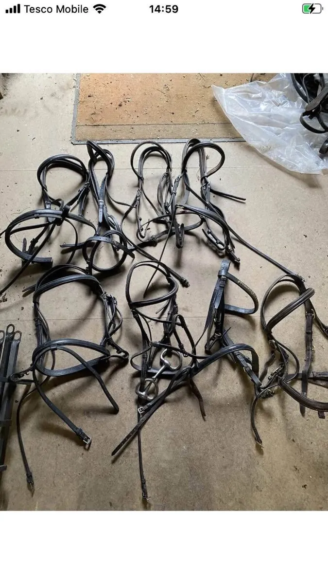 Job lot bridles - Image 2