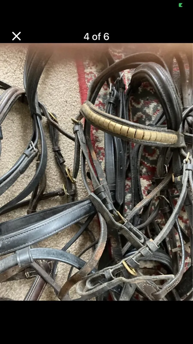 Job lot bridles - Image 3