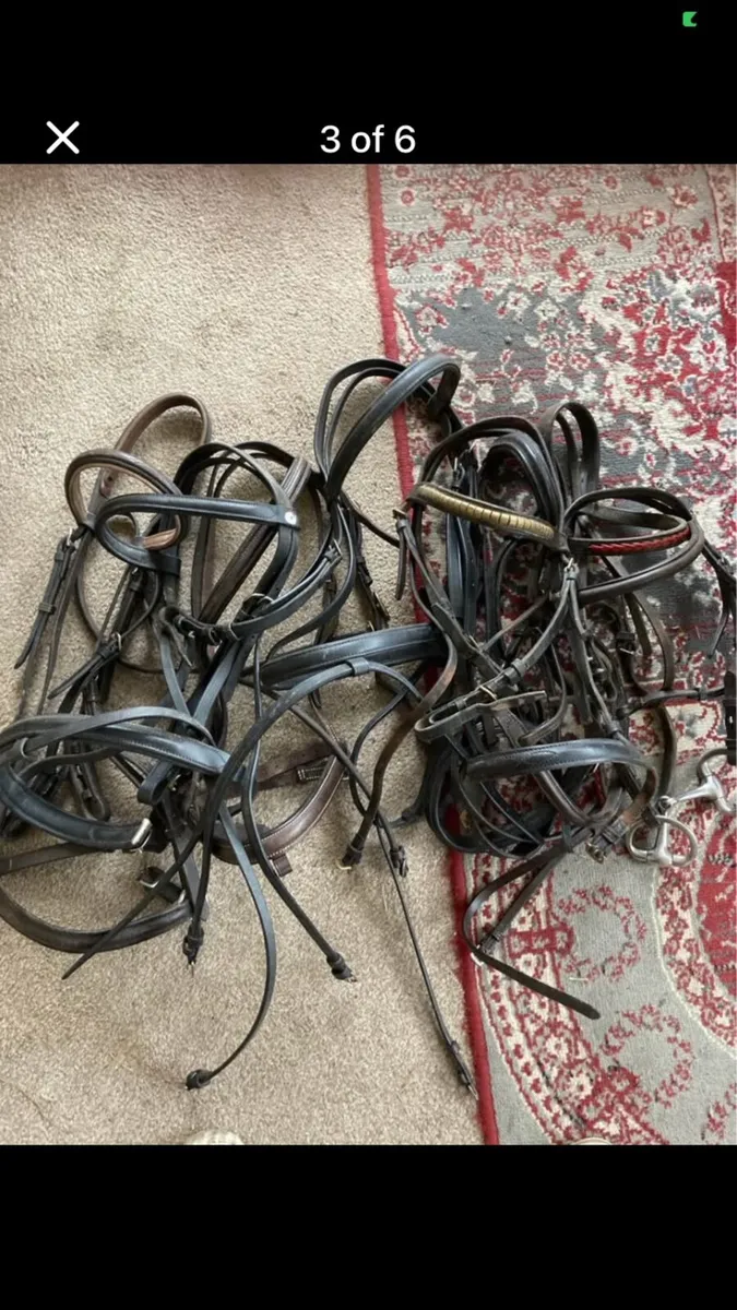 Job lot bridles - Image 4