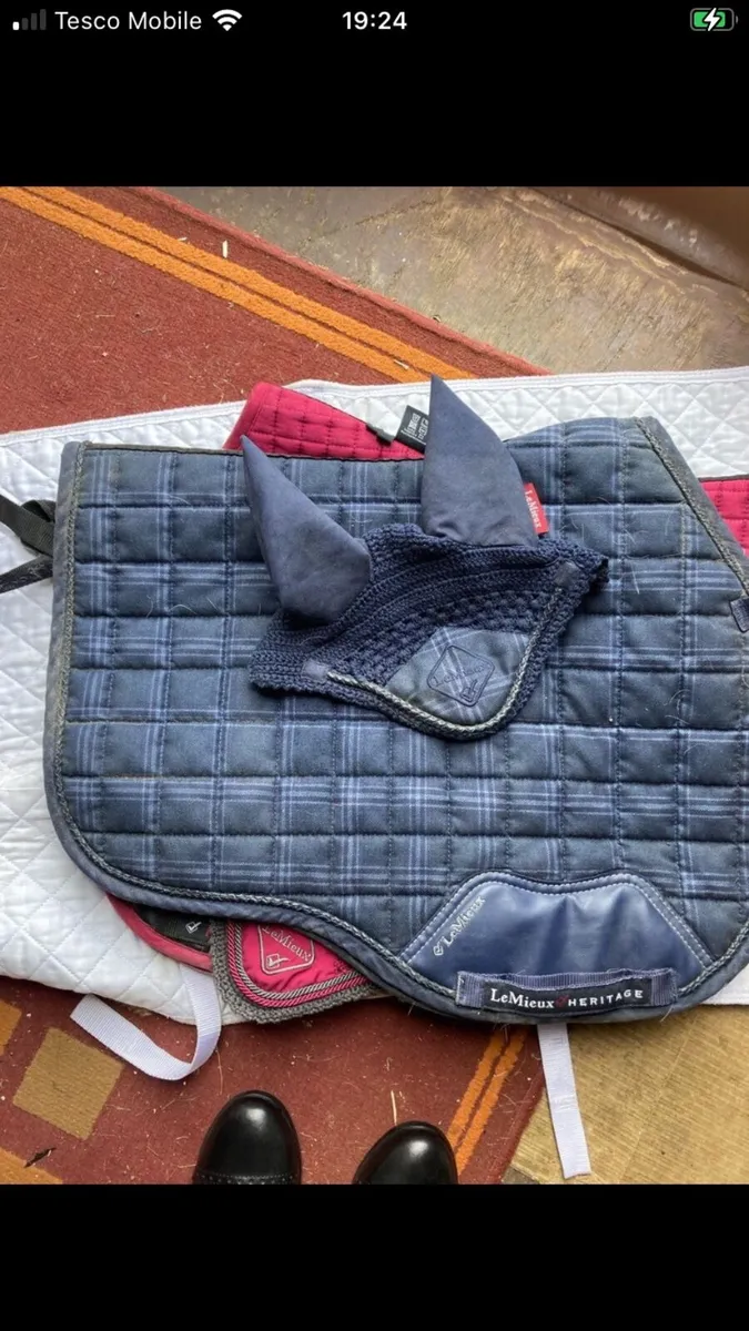 Lemieux sets - Image 2