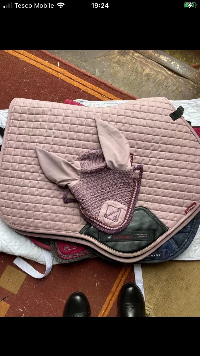 Lemieux sets - Image 3