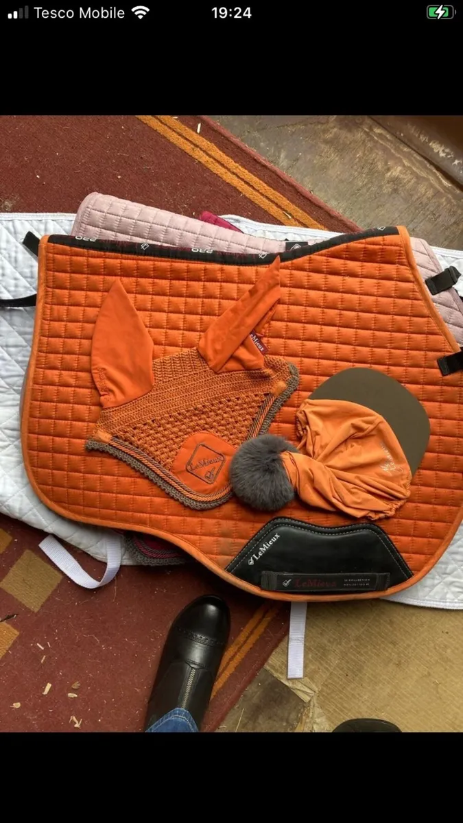 Lemieux sets - Image 4