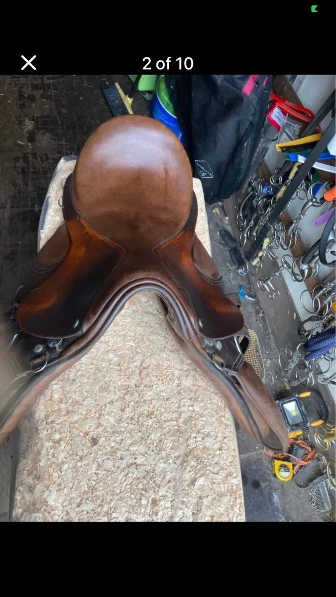 Jeffries saddle - Image 2
